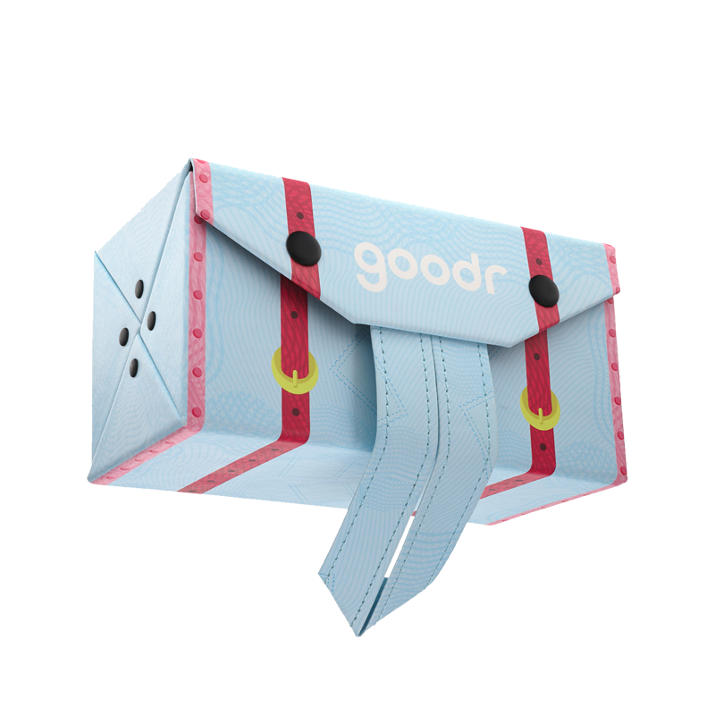 World Traveller Multi-Case Global