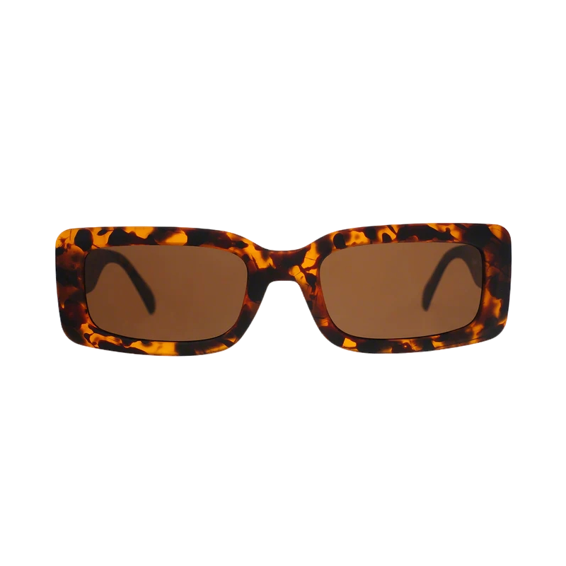 Came Here to Be Seen